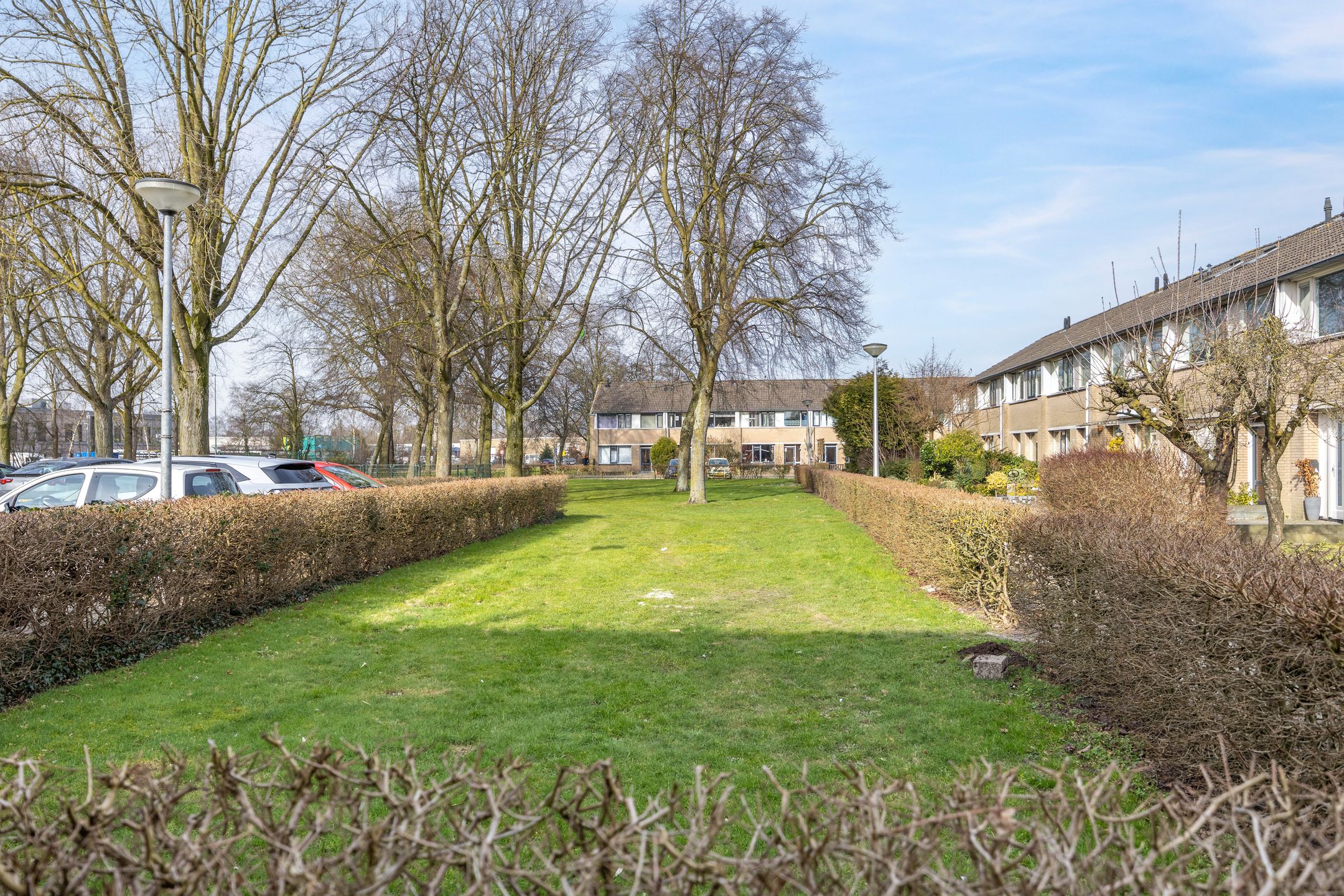 Photo 27 of Robert Stolzsingel 17