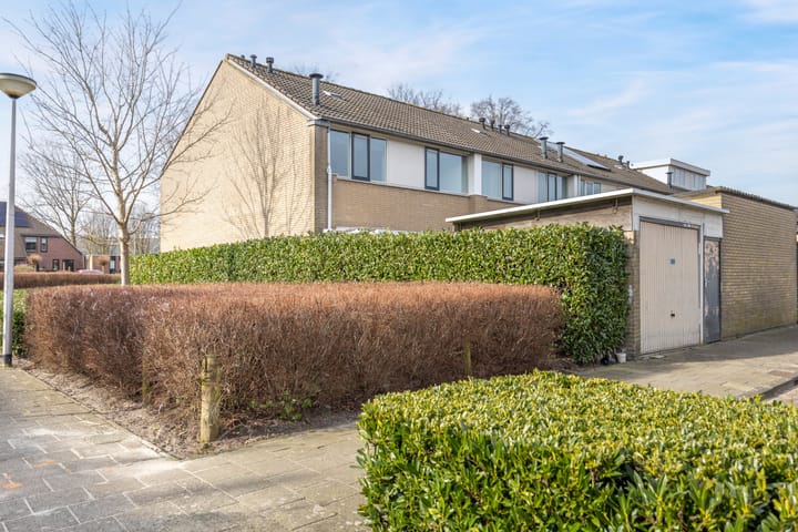 Foto 28 van Robert Stolzsingel 17