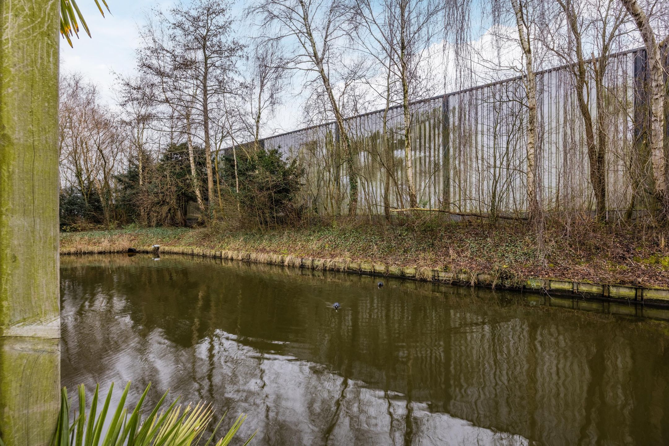 Foto 54 van Douwes Dekkerlaan 68