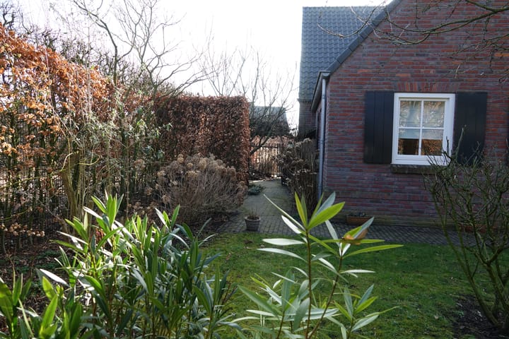 Foto 55 van Rijsven 5