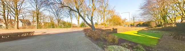Achtertuin