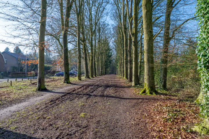 Foto 36 van Palmweg 31