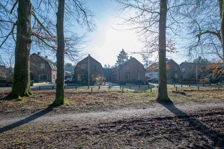 Foto 37 van Palmweg 31