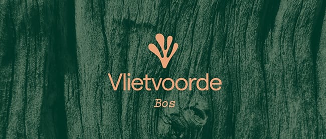 Foto 1 van Bos fase 1