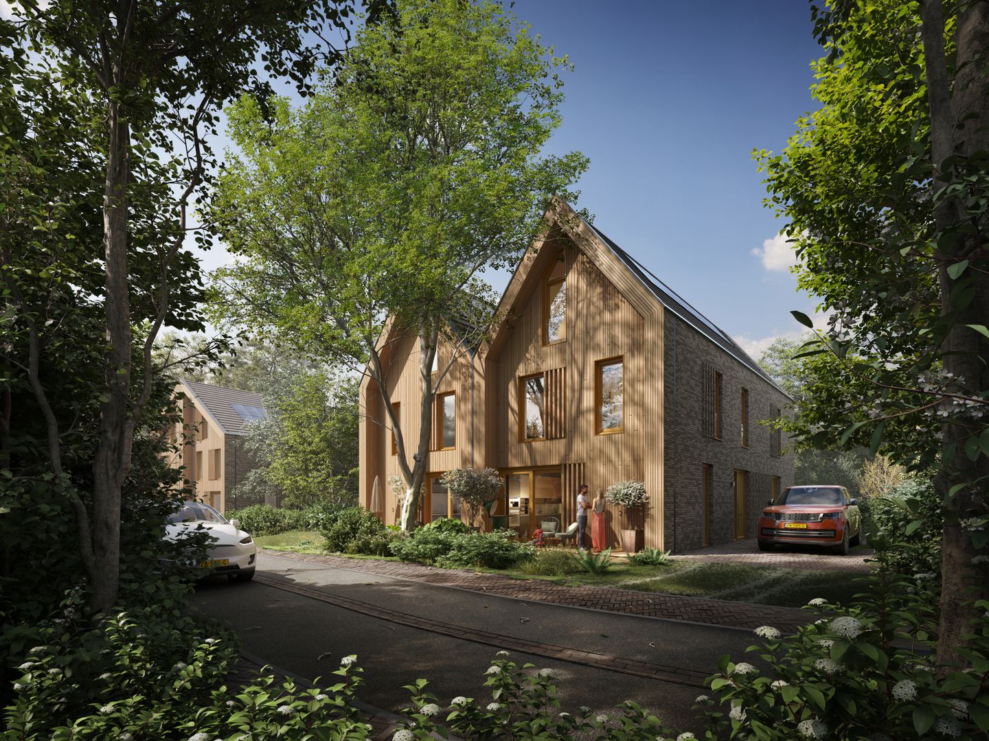 Foto 3 van Bos fase 1