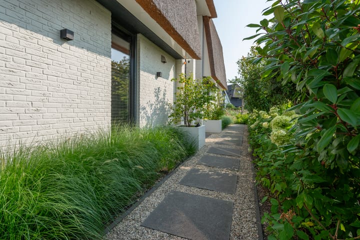 Foto 13 van Laantje van Bruijn 19