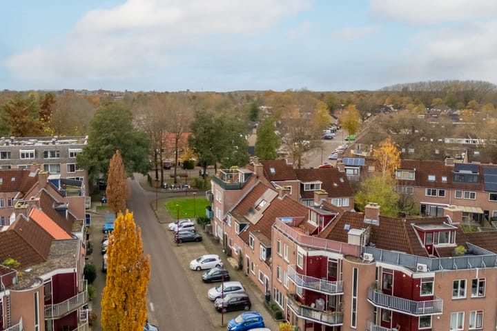 Photo 36 of Faustlaan 6