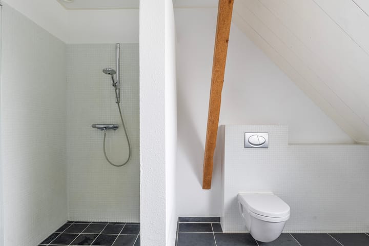 Foto 54 van Rypsterdyk 8