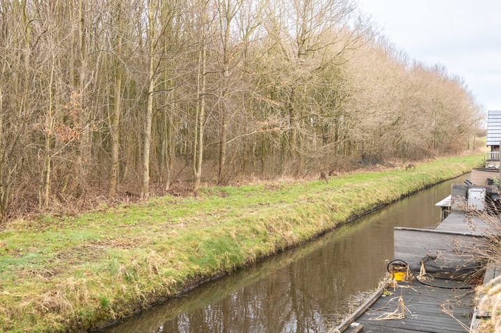 Foto 73 van Langesân 36