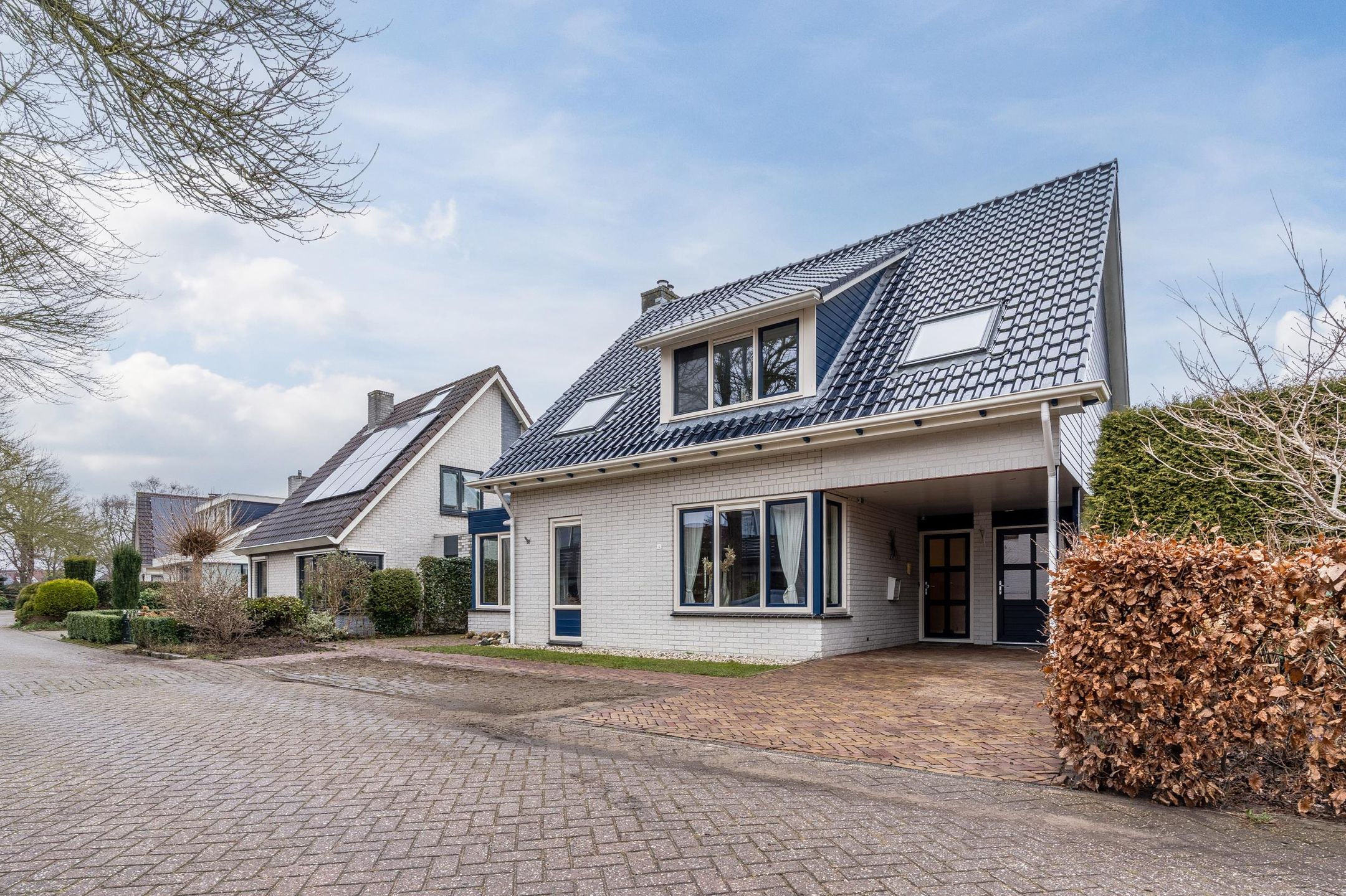 Foto 3 van Lisdodde 4