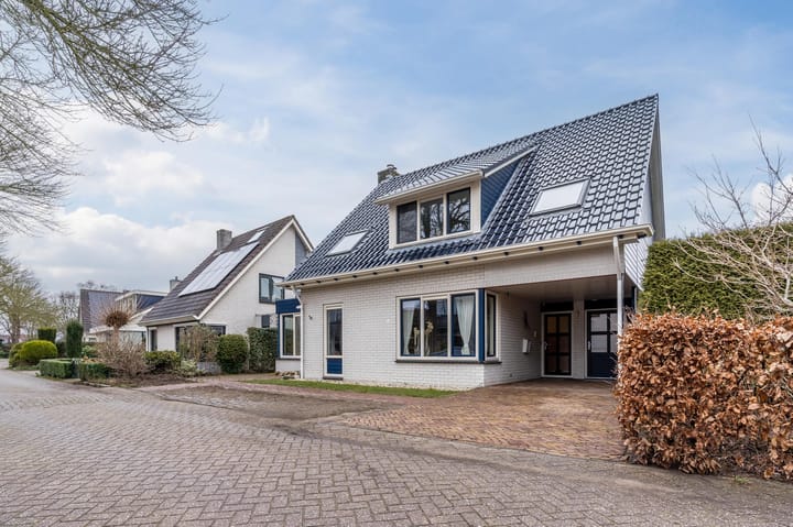 Foto 3 van Lisdodde 4