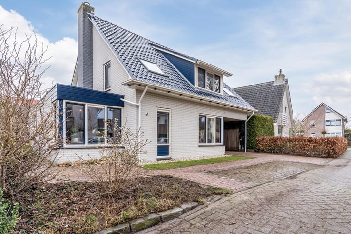 Foto 4 van Lisdodde 4