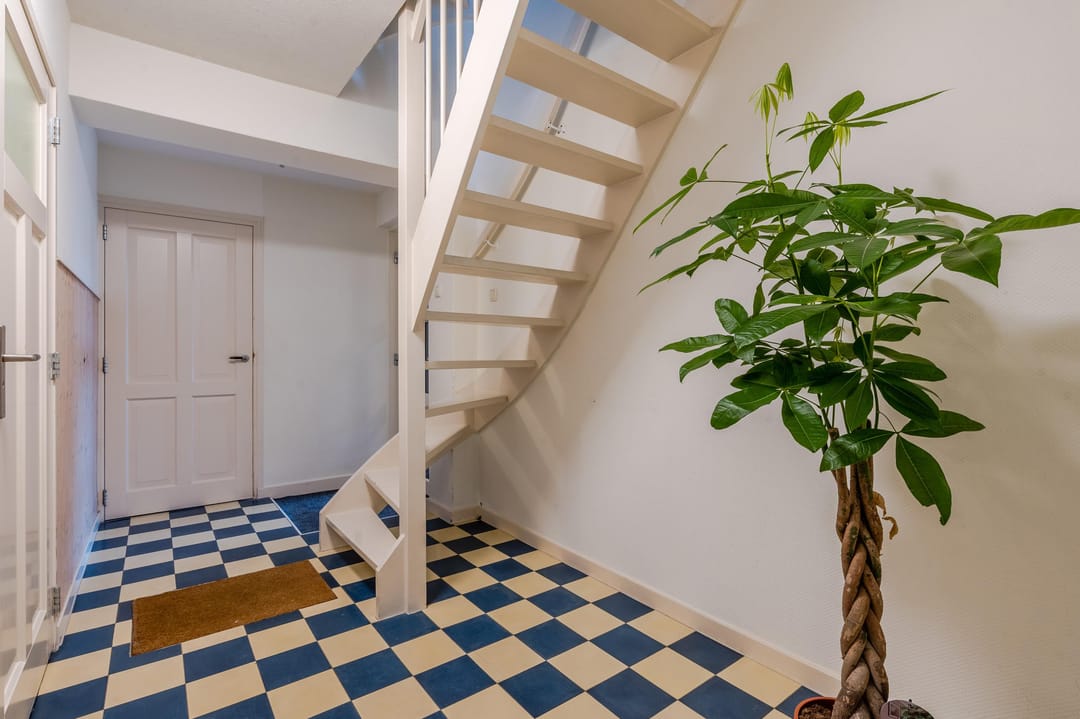 Foto 7 van Lisdodde 4