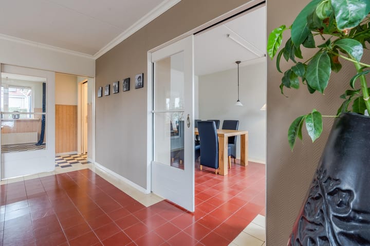 Foto 14 van Lisdodde 4