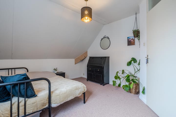 Foto 48 van Lisdodde 4