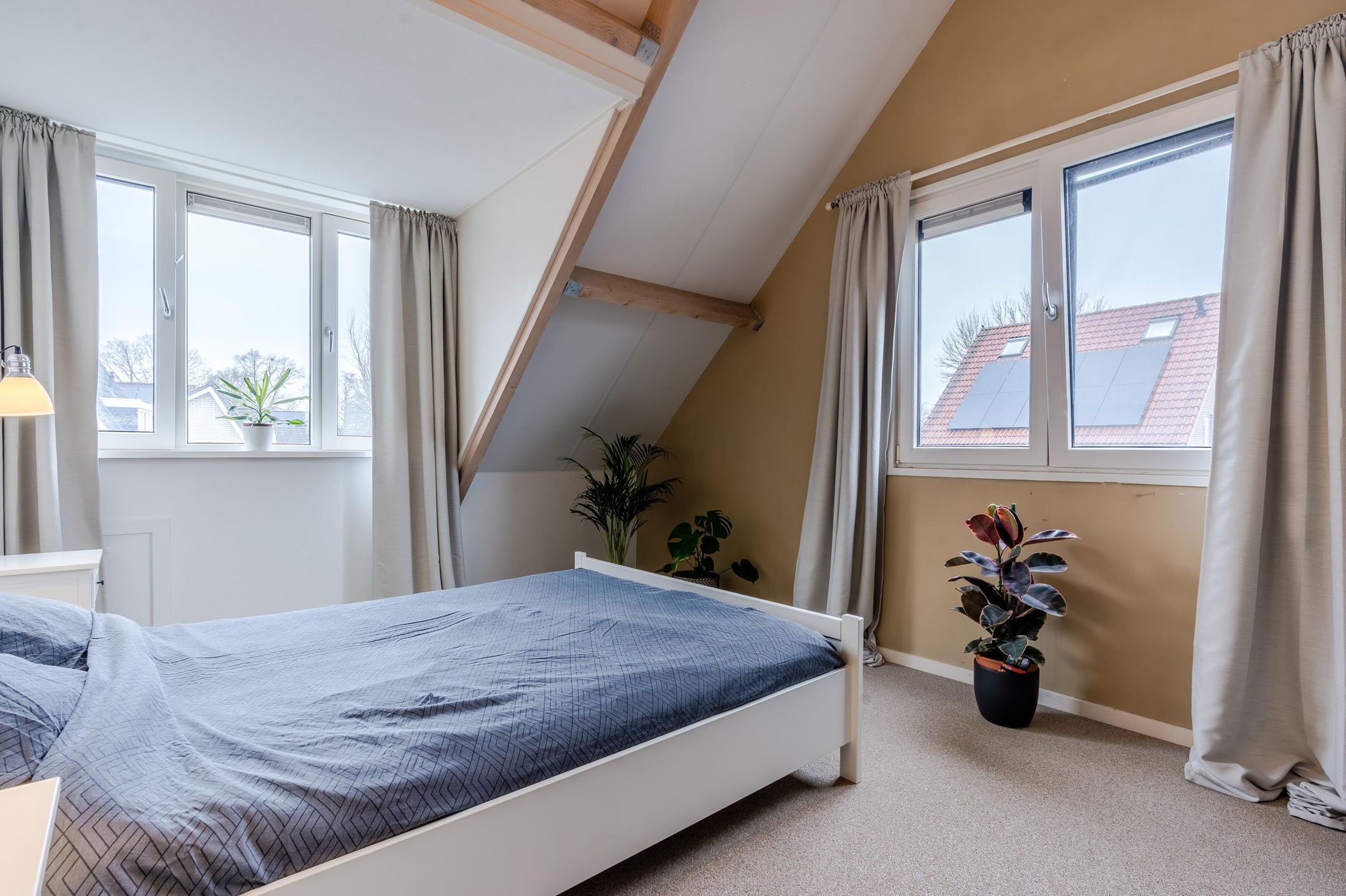 Foto 66 van Lisdodde 4