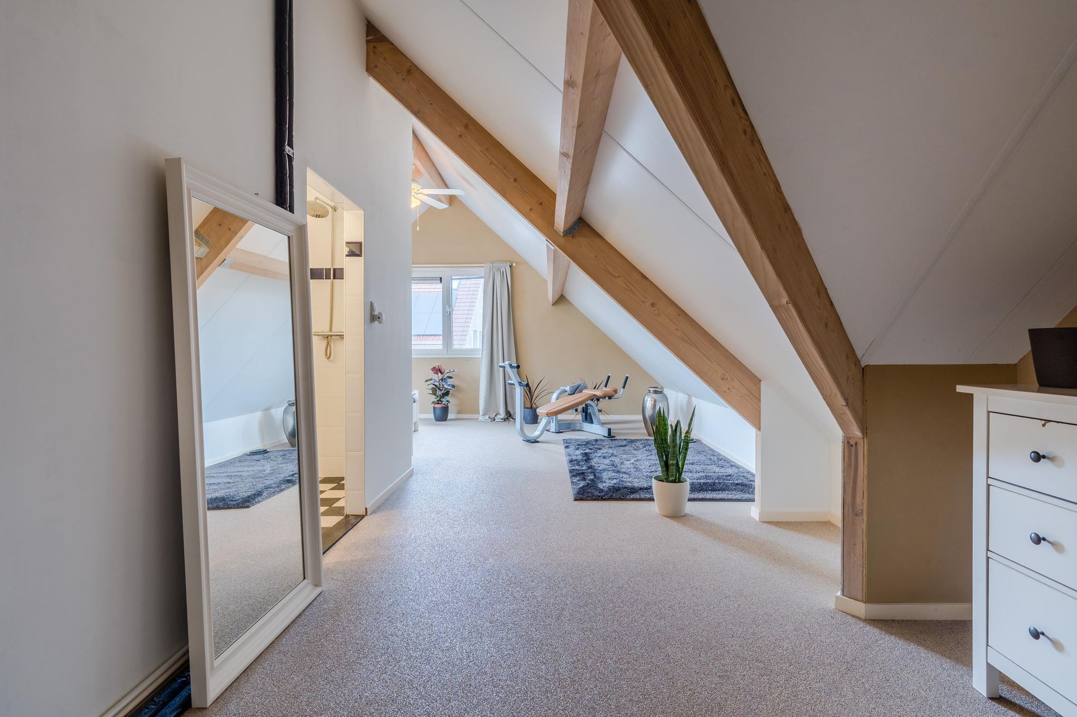 Foto 69 van Lisdodde 4