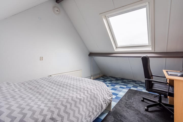 Foto 76 van Lisdodde 4