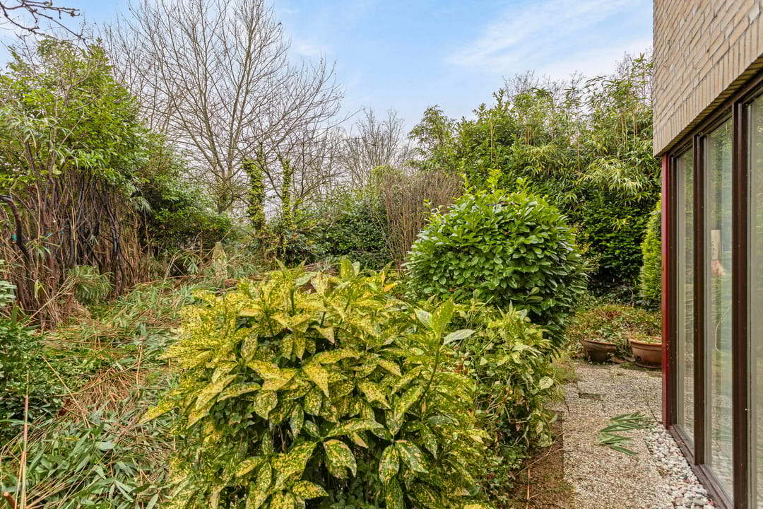 Foto 46 van Jacques Urlusstraat 56