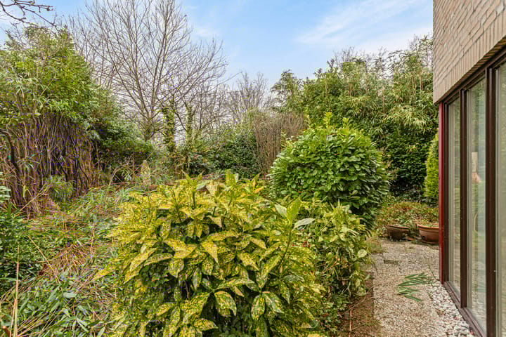 Foto 46 van Jacques Urlusstraat 56