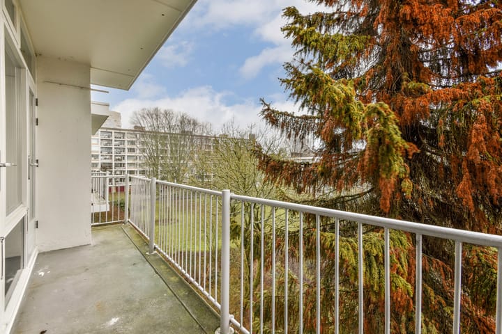 Foto 11 van Heringa-State 51