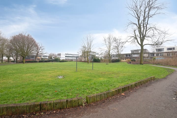 Foto 35 van Moggendries 3