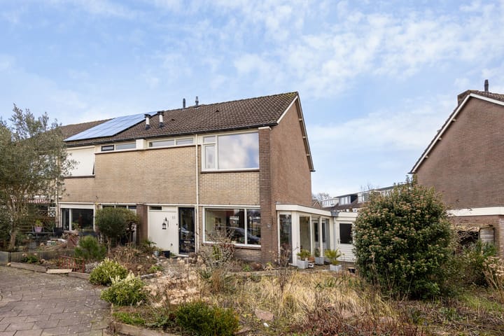 Foto 2 van Walter van Amersfoortstraat 53