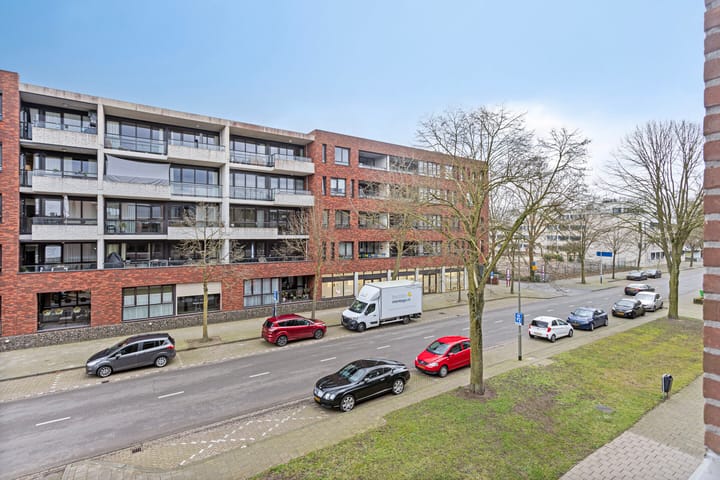 Foto 33 van Lievekamplaan 62