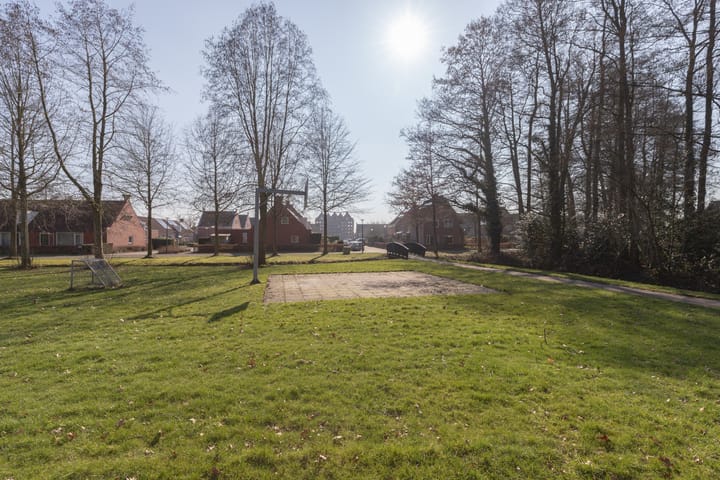 Foto 41 van Borgdomein 20