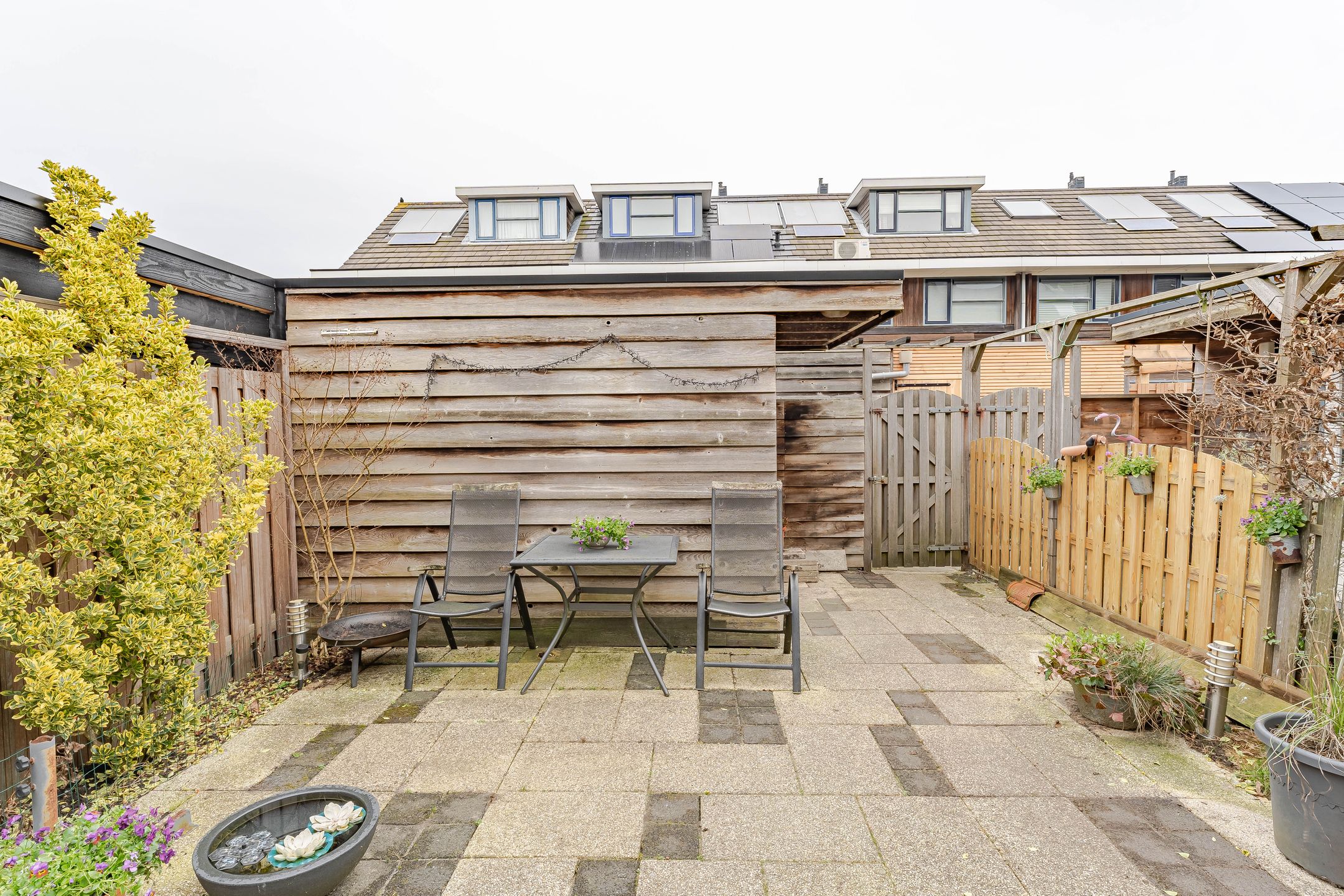 Foto 18 van Poolster 8