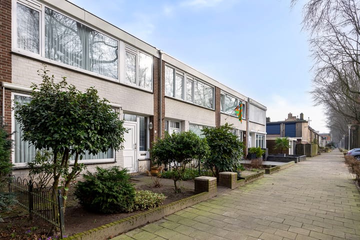 Foto 40 van Lage Witsiebaan 77