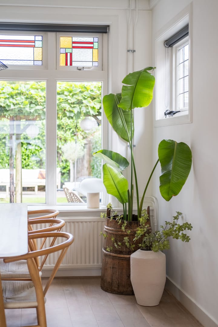 Foto 21 van Koarte Miente 12