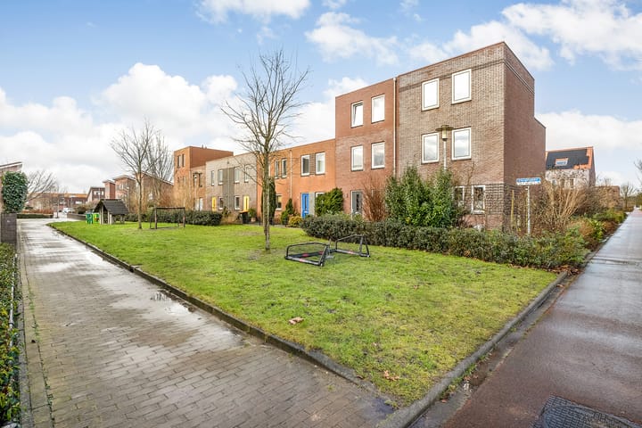 Foto 29 van Citroenvlinder 83