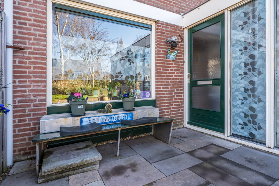 Foto 43 van Briljantdrift 1