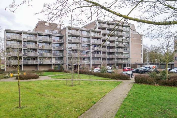 Foto 3 van Nieuwveld 54