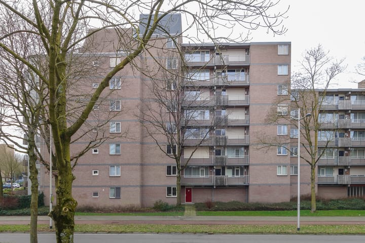 Photo 6 of Nieuwveld 54