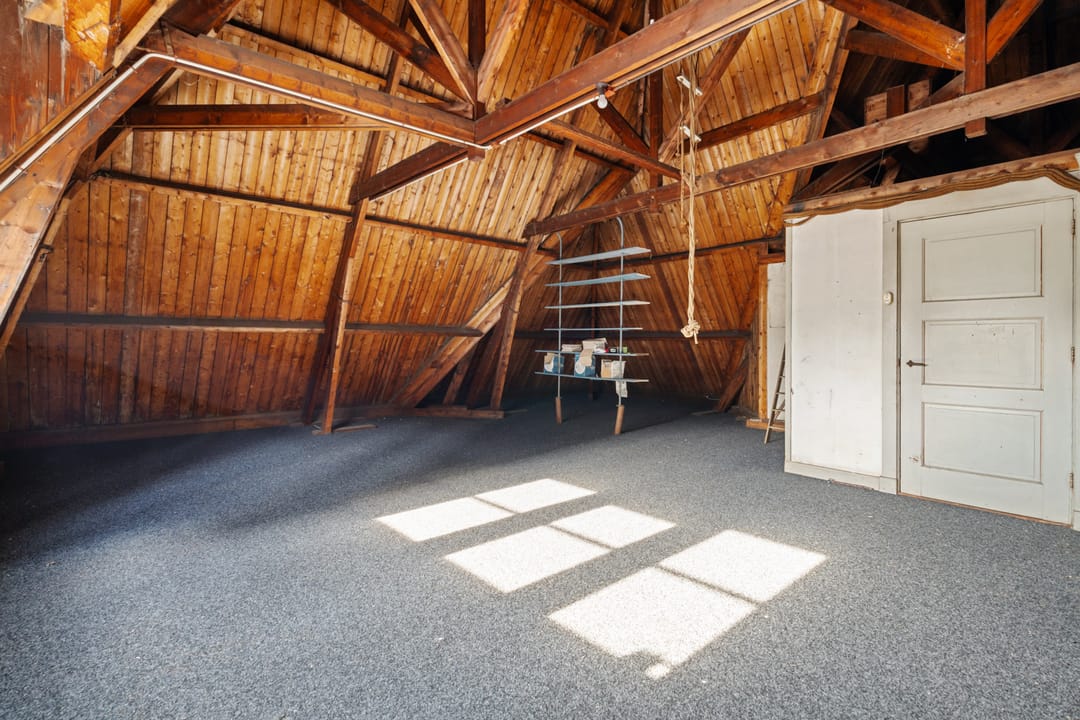 Photo 43 of De Klomp 81