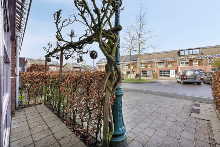 Foto 24 van de Lingert 5810