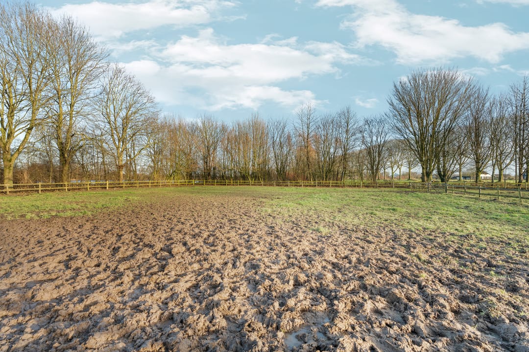 Foto 92 van Dwarsweg 17