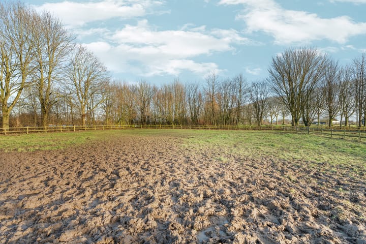 Foto 92 van Dwarsweg 17