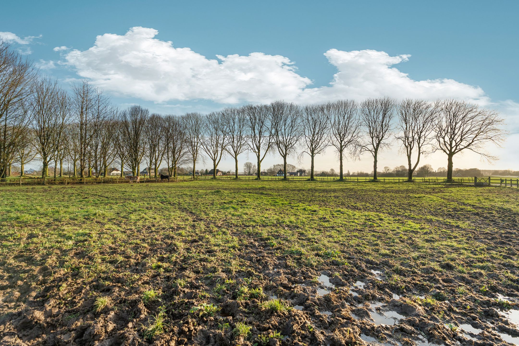 Foto 93 van Dwarsweg 17