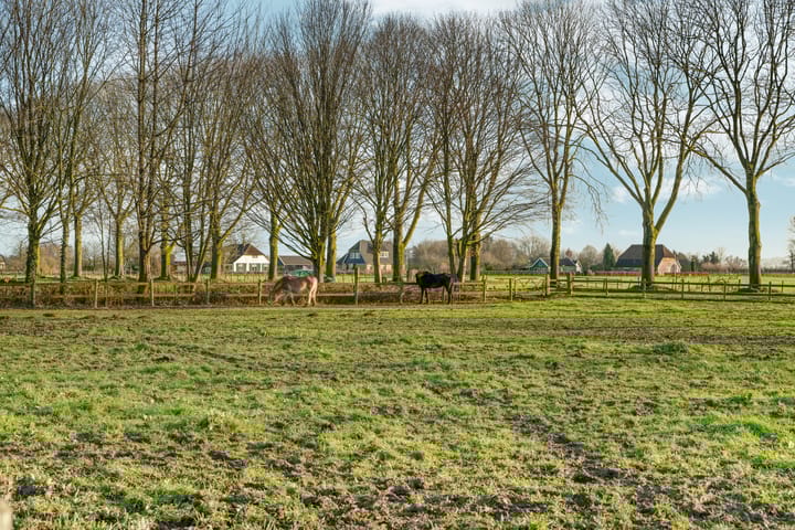 Foto 94 van Dwarsweg 17