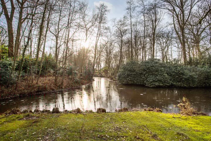 Photo 25 of Park Vredehof 24