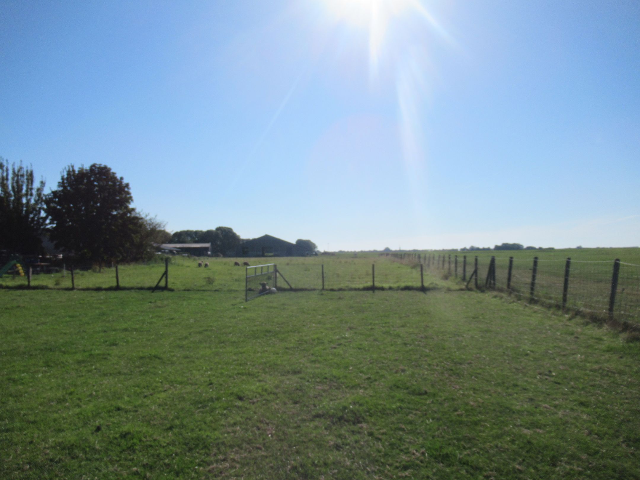 Foto 36 van Noordschermerdijk 8