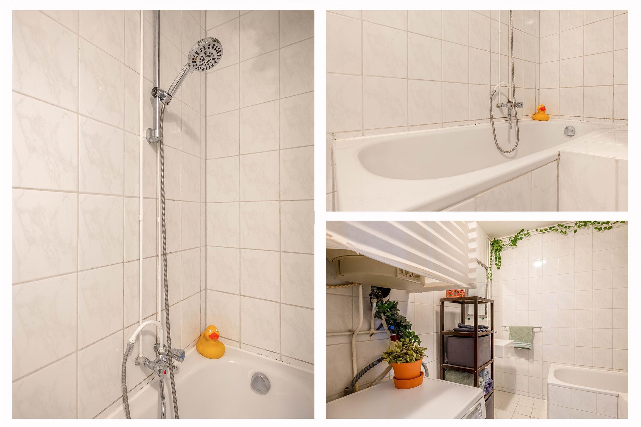 Photo 33 of Alkenoord 47