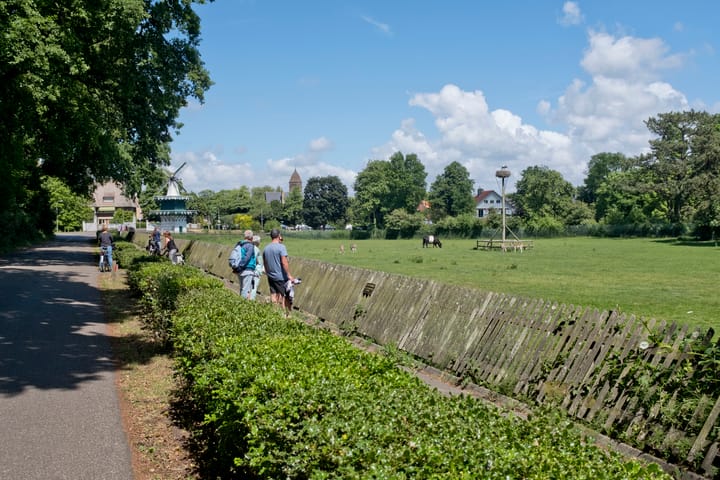 Foto 32 van Rijnlaan 68