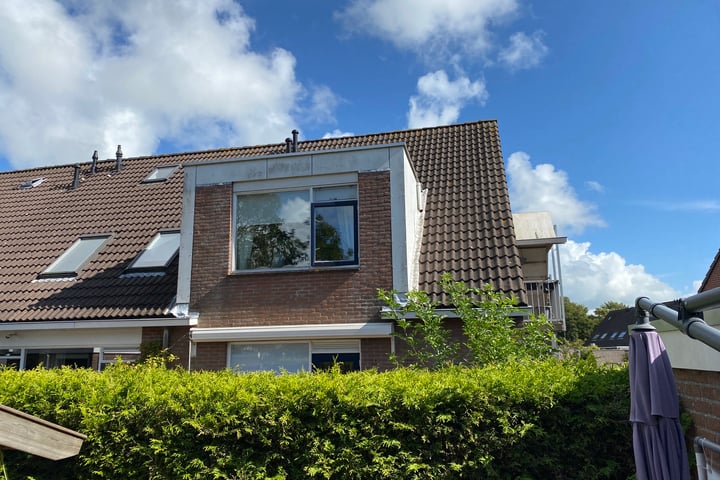 De Leeuw 47