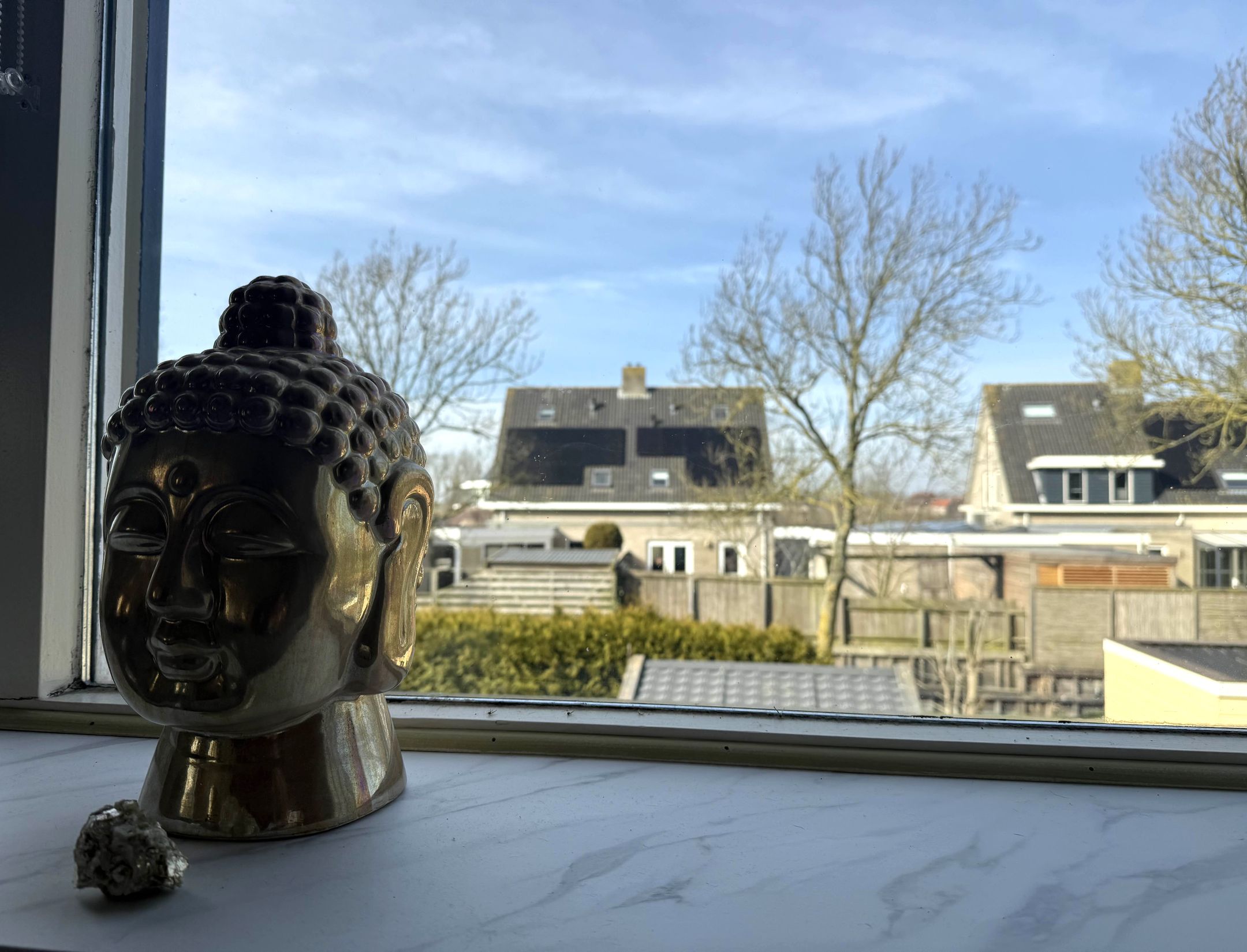 Foto 9 van De Leeuw 47