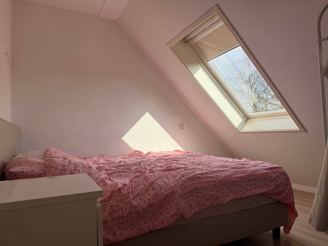 Foto 17 van De Leeuw 47