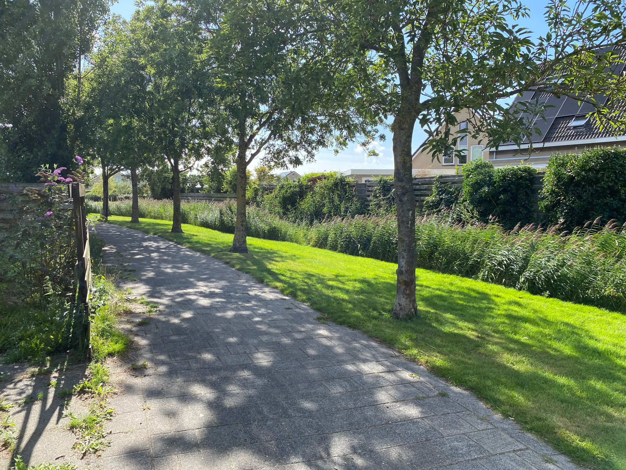 Foto 24 van De Leeuw 47